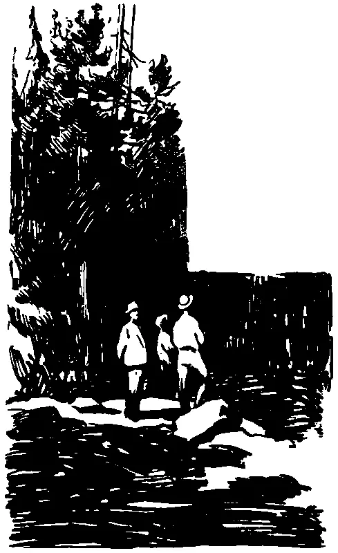 Поистине великолепна была эта волнующая каменная поэма в ясный рассветный час - фото 6