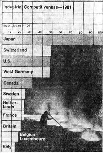 Сопоставление конкурентоспособности капиталистических стран в 1981 г Не - фото 23