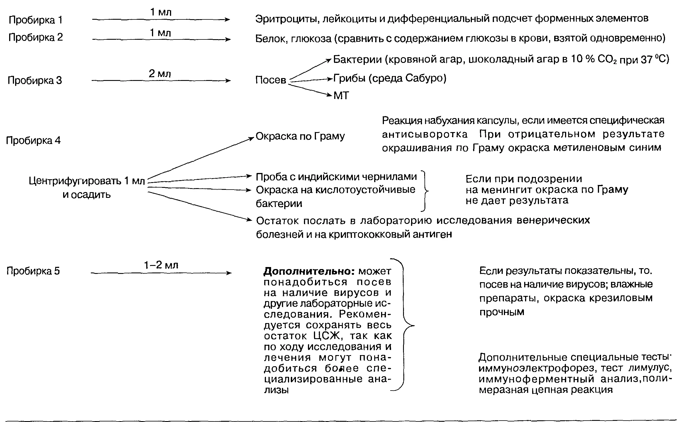 Вышеуказанные бактериальные инфекции обычно сопровождаются изменениями в ЦСЖ по - фото 1