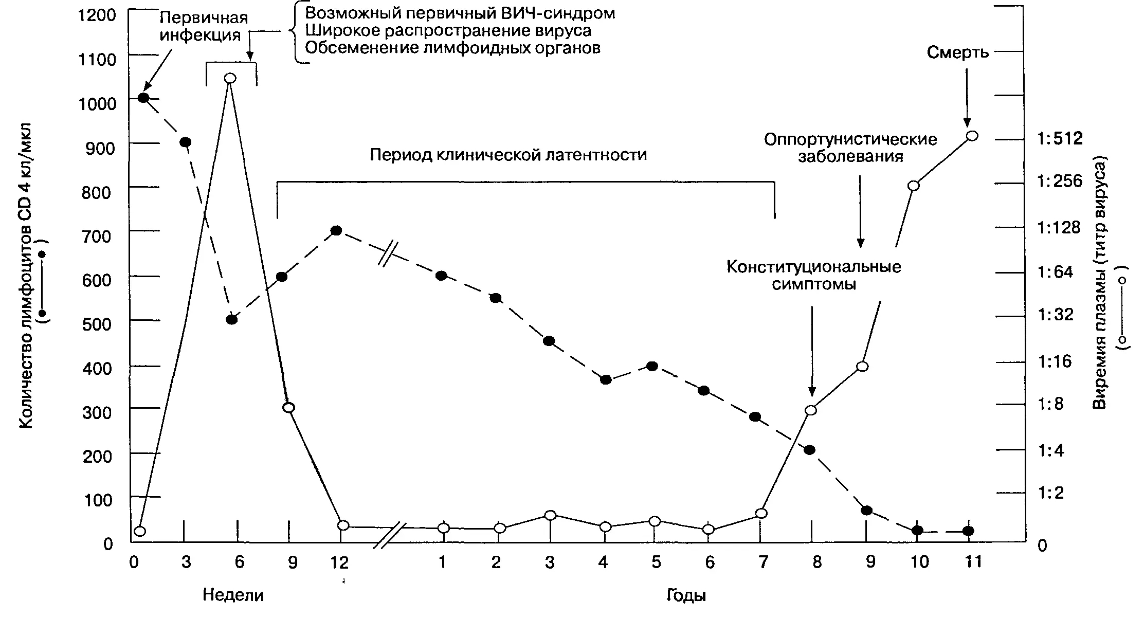 Рис 131 Типичное течение ВИЧинфекции В раннем периоде после первичного - фото 2