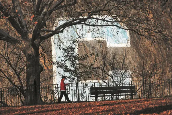 Рис 8 Большая буква С в Инвуде Redux PicturesThe New York TimesSuzanne - фото 11