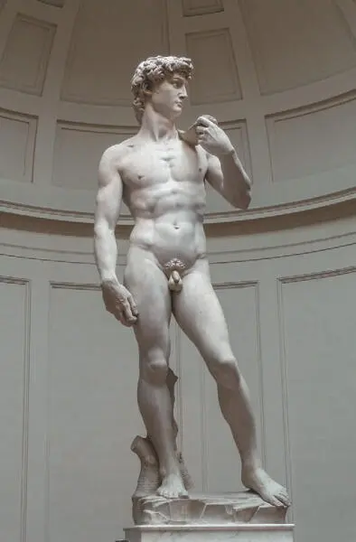 Рис 29 Микеланджело 14751564 Давид 15011504 гг Фотография Йорг - фото 33