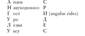 Словечки решены хорошо Прочитав жарзвереныш твой письмыш я стал мыться в - фото 18