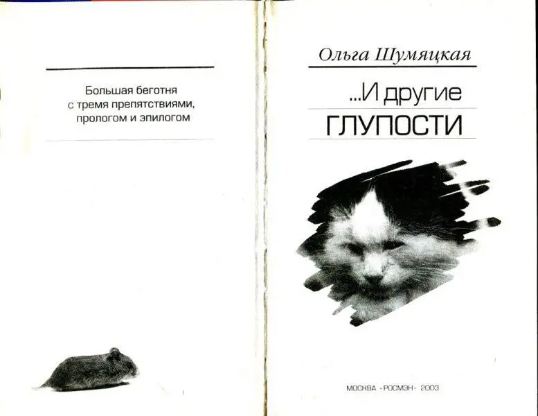 Большая беготня с тремя препятствиями прологом и эпилогом Участники забега - фото 2