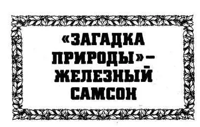 Об этом человеке увидавшем свет в 1888 году в Вильно и проведшем детство в - фото 38