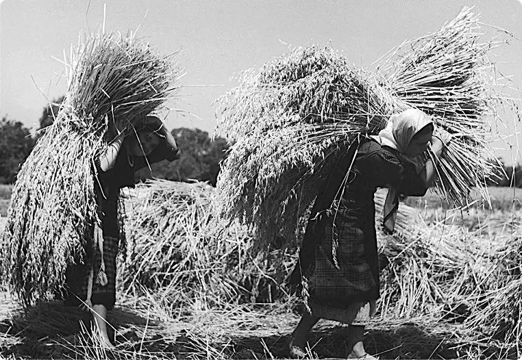 Крестьяне из Пловдива Фото 1939 или 1940 год Национальная библиотека - фото 42