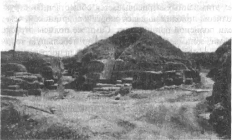 Тумулус 129 О богатстве и политическом авторитете этрусской верхушки - фото 24