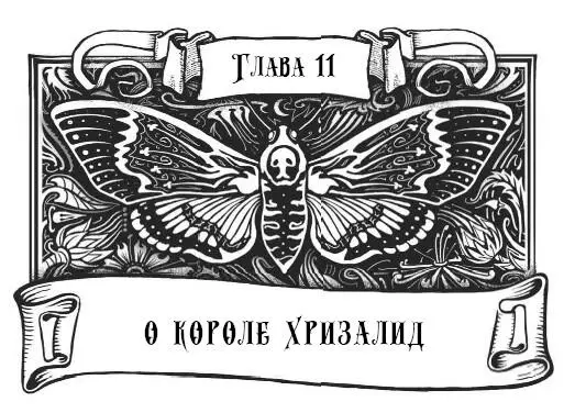 Франциску показалось что за пеленой тумана ктото есть Над тропой словно - фото 24