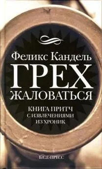 Феликс Кандель - Грех жаловаться. Книга притч с извлечениями из хроник