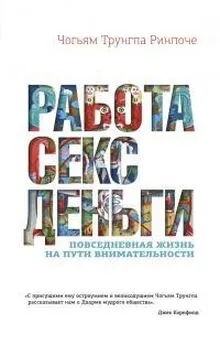 Чогьям Ринпоче - Работа, секс, деньги. Повседневная жизнь на пути внимательности