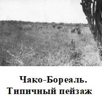 В начале декабря выяснилось что сложилось катастрофическое положение на правом - фото 59