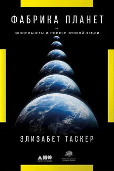 Элизабет Таскер - Фабрика планет. Экзопланеты и поиски второй Земли