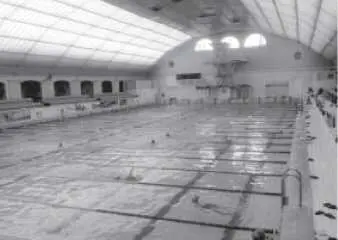 Бассейн ЦСКА наматываю по 1 км ежедневно В связи с этим хочу выразить - фото 46