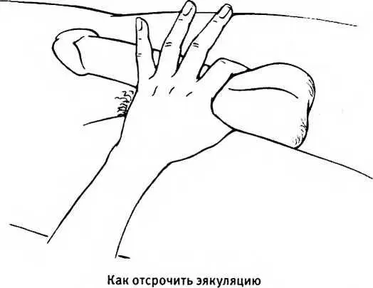 Исследуйте задний ходАнус обычно избегают трогать но он стоит того чтобы - фото 17