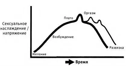 Как работает мозг женщины В 1960х годах ученые Мастерс и Джонсон высказали - фото 21