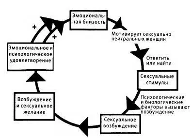 Как работает мозг женщины В 1960х годах ученые Мастерс и Джонсон высказали - фото 22