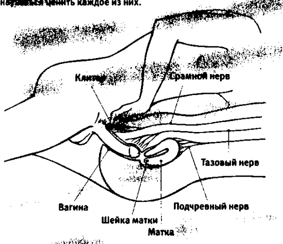 Постарайтесь стимулировать обе точки одновременно Теперь вы знаете какие - фото 26