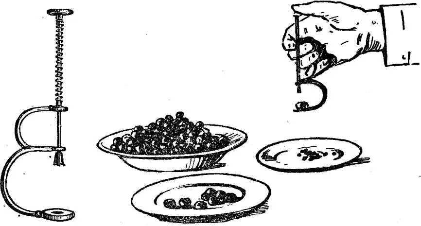 Рис 33 Ручная машинка для удаления косточек из вишен и черешенСлева - фото 61