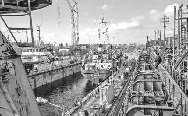 Дунайское пароходство Америка неравнодушно дышит не только к украинским портам - фото 56