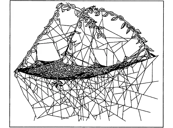 Сеть линифии треугольной И когда осенью многие из этих пауков взмывают в небо - фото 211