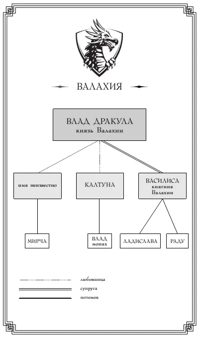 1 1435 год Сигишоара Трансильвания Тяжелые брови Влада Дракулы сдвинулись - фото 2