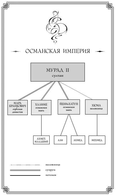 1 1435 год Сигишоара Трансильвания Тяжелые брови Влада Дракулы сдвинулись - фото 3