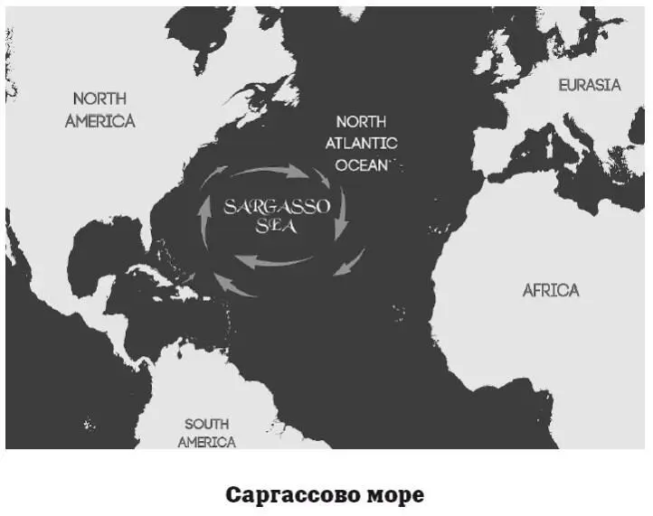 Океаническими морскими течениями называются постоянные или периодические - фото 65