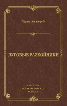 Фридрих Герштеккер - Луговые разбойники