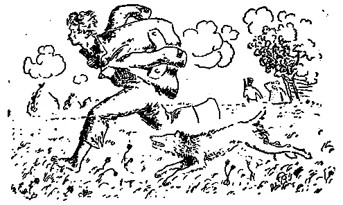 Но в эту минуту произошла ошибка роковая для Марса ошибка Вместо того чтобы - фото 13