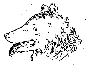 Товарищи - фото 14