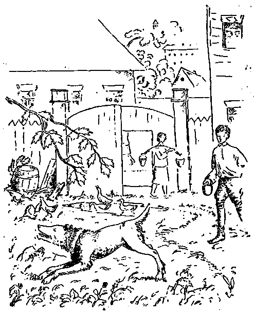 Что брат сказал Андрей небось неприятно зато слушаться будешь СОБАЧИЙ - фото 5