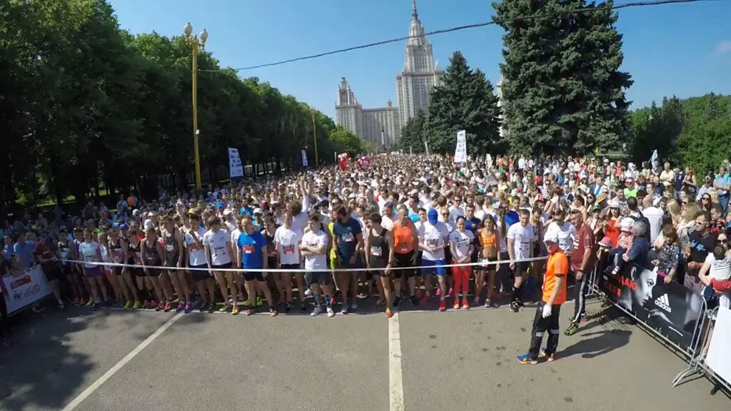 В стартовом коридоре полумарафона Хронометраж Весь стартовый коридор был - фото 26