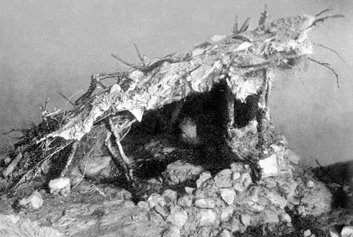 Рис 12 Реконструкция круговой хижины в Долни Вестонице общий вид На - фото 2