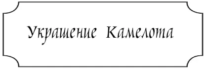Тедрос раскрыл гроссбух но страницы внутри оказались чистыми лишь к последней - фото 41