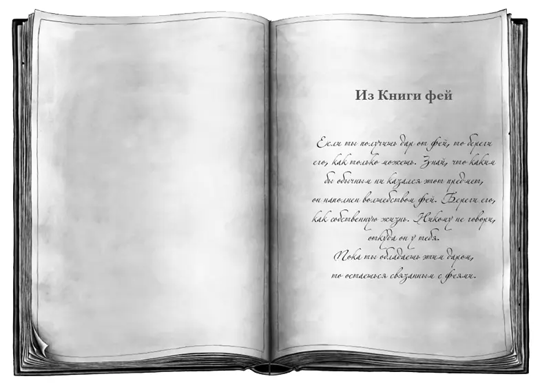 Из Книги фей Если ты получишь дар от фей то береги его как только можешь - фото 4