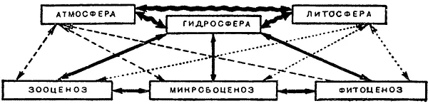 Перед нами целая система связей Система которая живет движется Внутри ее - фото 8