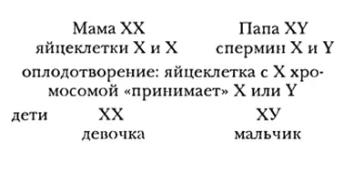 Так уж исторически получилось что два царствующих дома Европы ведут свое - фото 19