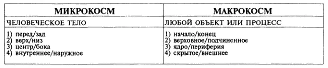 Средневековый ученый мог легко уподобить дерево растущее на холме телу - фото 21