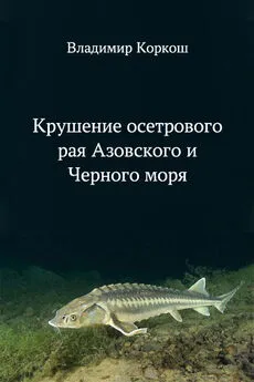 Владимир Коркош - Крушение осетрового рая Азовского и Черного моря