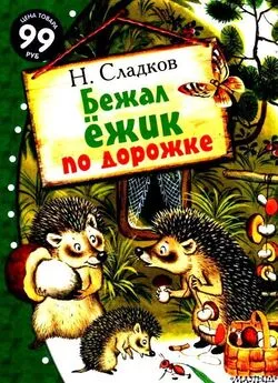 Николай Сладков - Бежал ёжик по дорожке