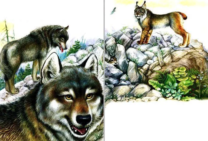 На беду заячью жили на той горе лисицы Уж лисицыто самые хитрые звери и - фото 13