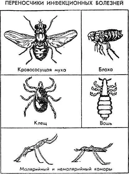 Рис 23 Болезнетворные микробы и образуемые ими токсины предназначенные для - фото 25