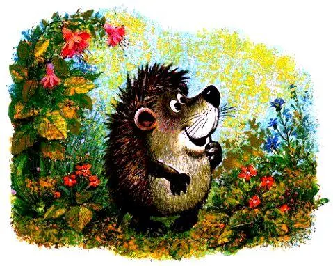 ЕЖИК КОТОРОГО МОЖНО БЫЛО ПОГЛАДИТЬ Все ёжики на свете колючие На них - фото 35