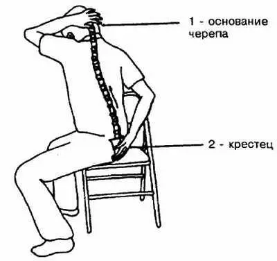 Рис 66 Крестец и основание черепа 8 Положите левую руку немного сзади на - фото 6