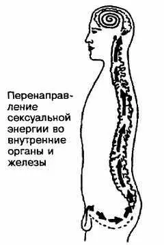 Рис 211 Сексуальная энергия Чинци часть Изначальной Силы Сперма и - фото 11