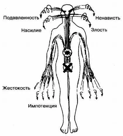 Рис 321 Подавление половых желаний приводит к увеличению количества - фото 21