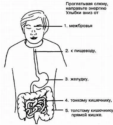 Рис 333 Улыбка адресованная органам пищеварения Проглатывая слюну - фото 33