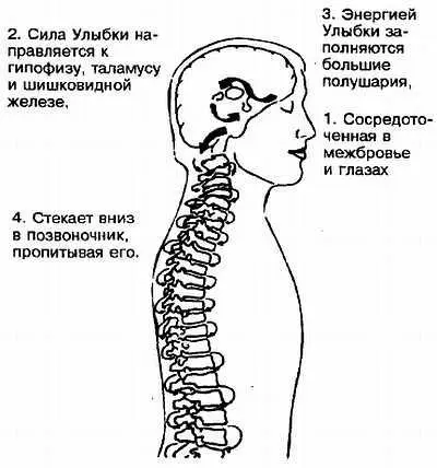 Рис 335 Улыбка обращенная к позвоночнику Сосредоточенная в межбровье и - фото 35