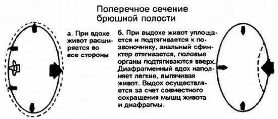 Рис 437 Вдох и выдох в огненном или кузнечном дыхании Такое дыхание - фото 38