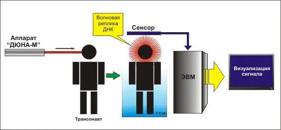 А зачем вам было нужно регистрировать активность мозга Как рассказывал - фото 2
